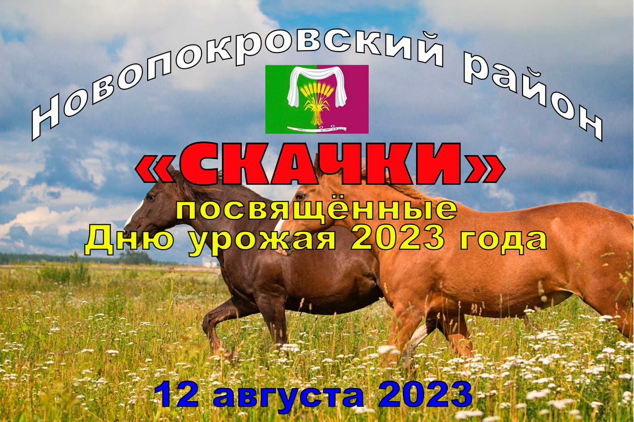 Skachki 12082023